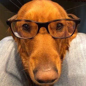 Meet your Posher, Steve